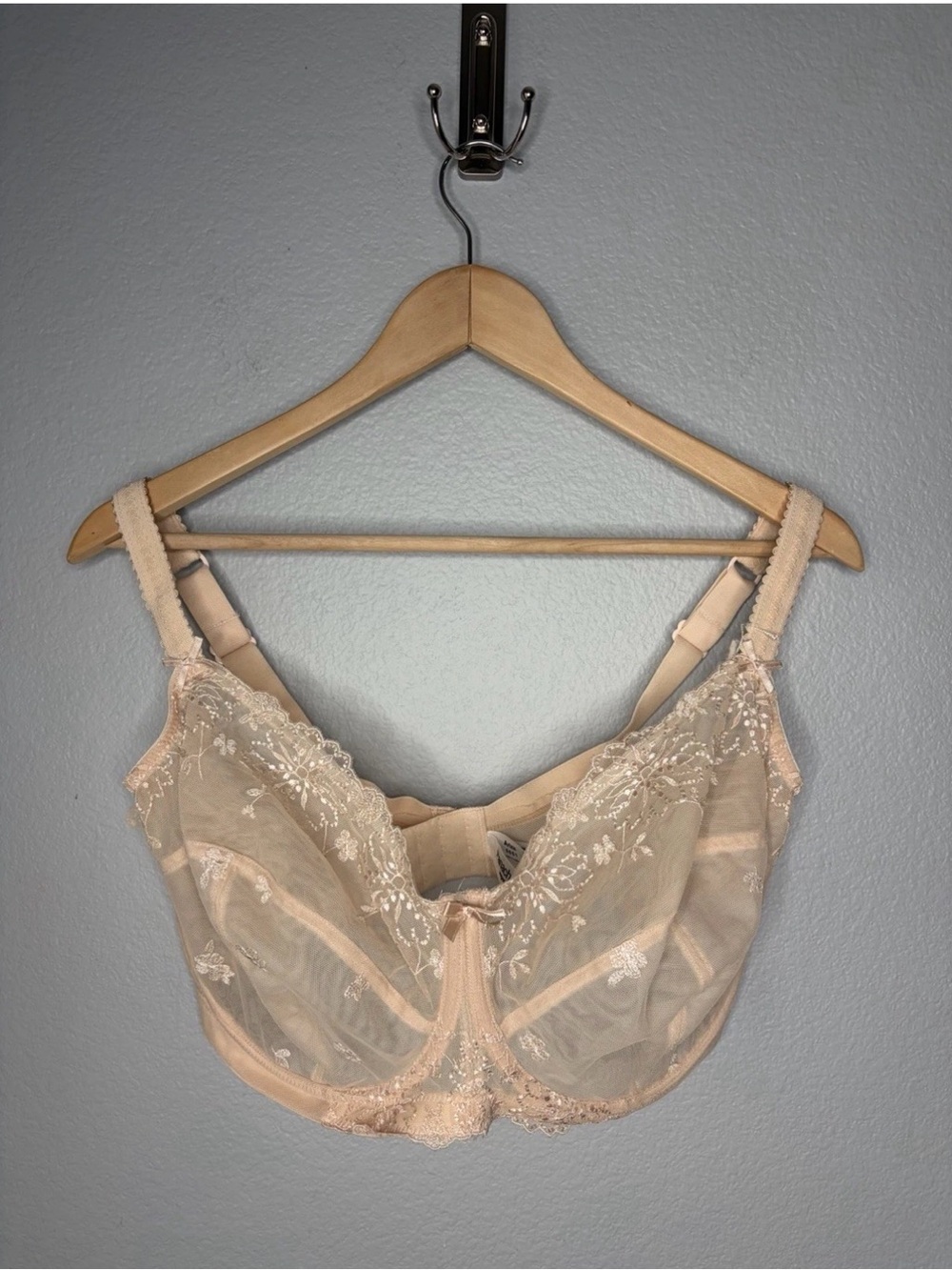 Panache Sheer Embroidered Underwire Bra - Beige
